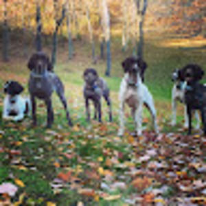 Meet your Posher, Caryn